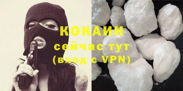 молекула духа Алексин