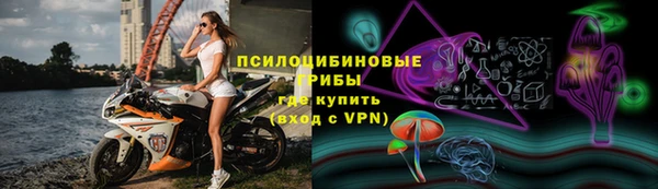 молекула духа Алексин