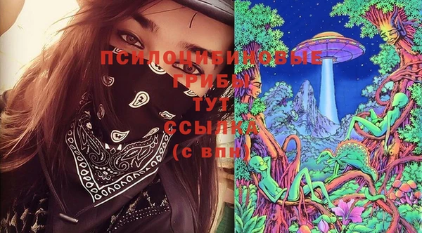 молекула духа Алексин