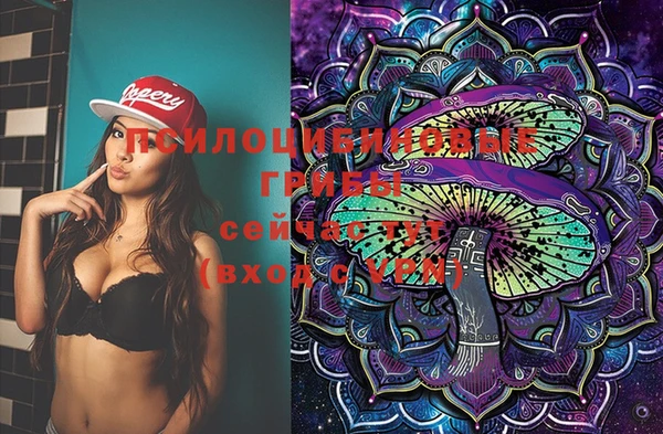 молекула духа Алексин
